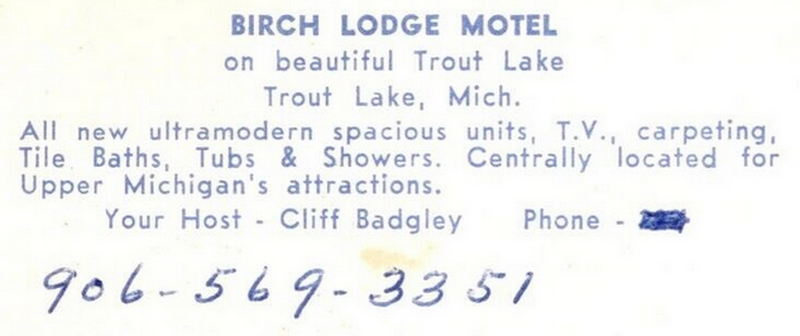 Birch Lodge (Birch Lodge Motel) - Vintage Postcard